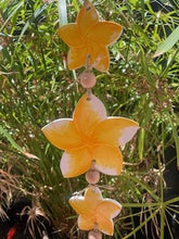 Load image into Gallery viewer, MOZZIE COIL HOLDER - Frangipani